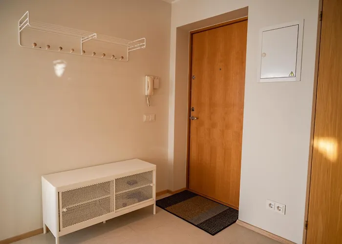 Freshly Renovated Next To Old Down Apartment Tallinn