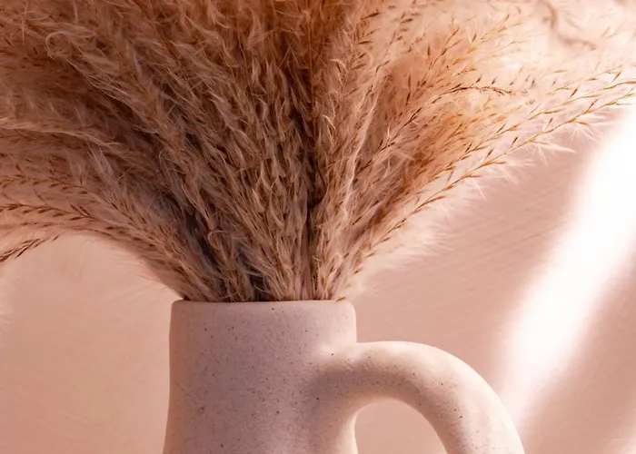 Freshly Renovated Next To Old Down アパート